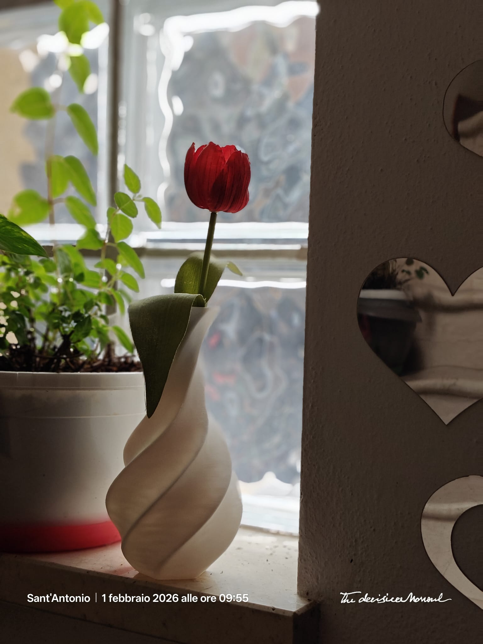 Tulipano in vaso stampato in 3D