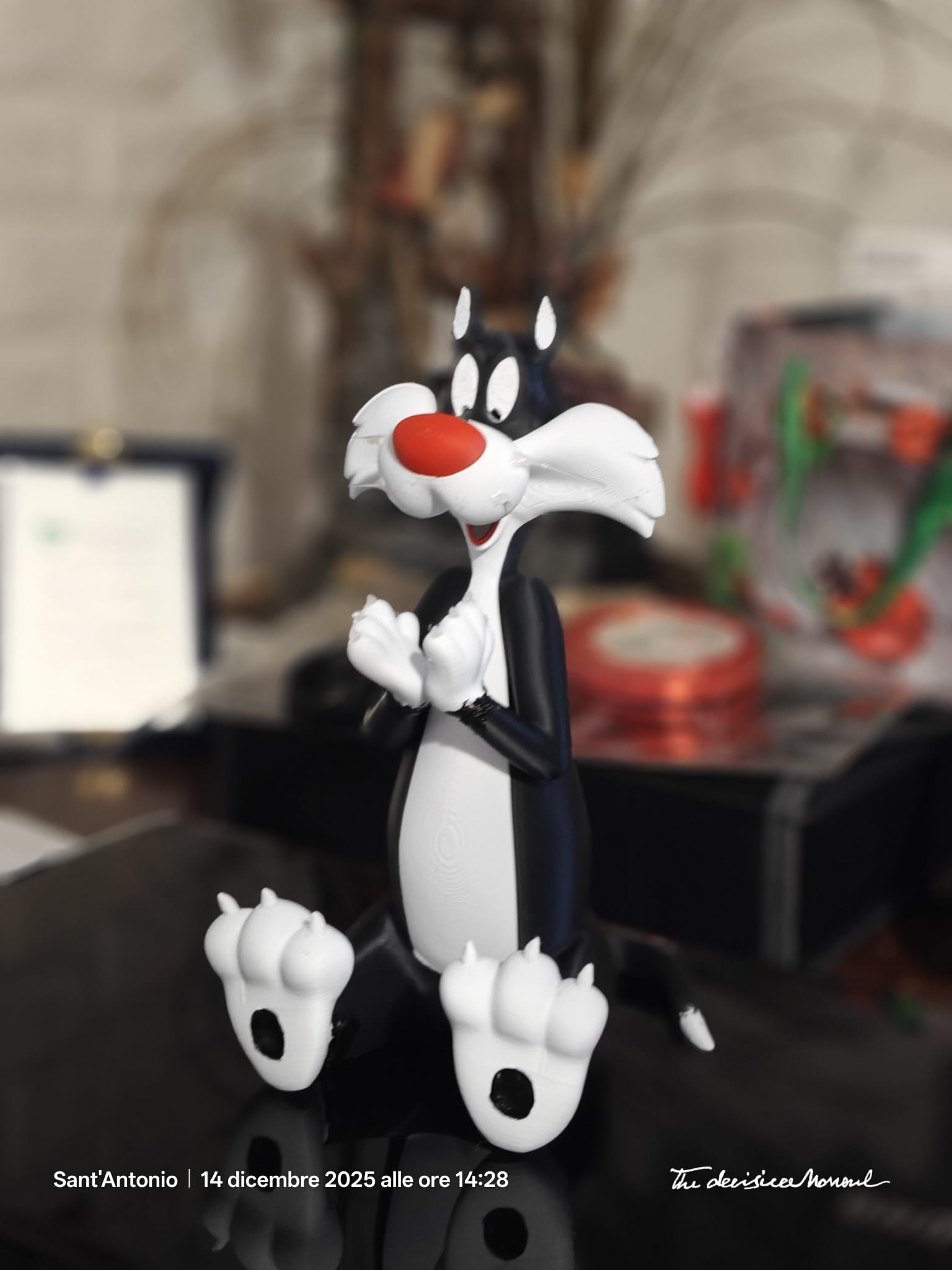 Gatto in bianco e nero