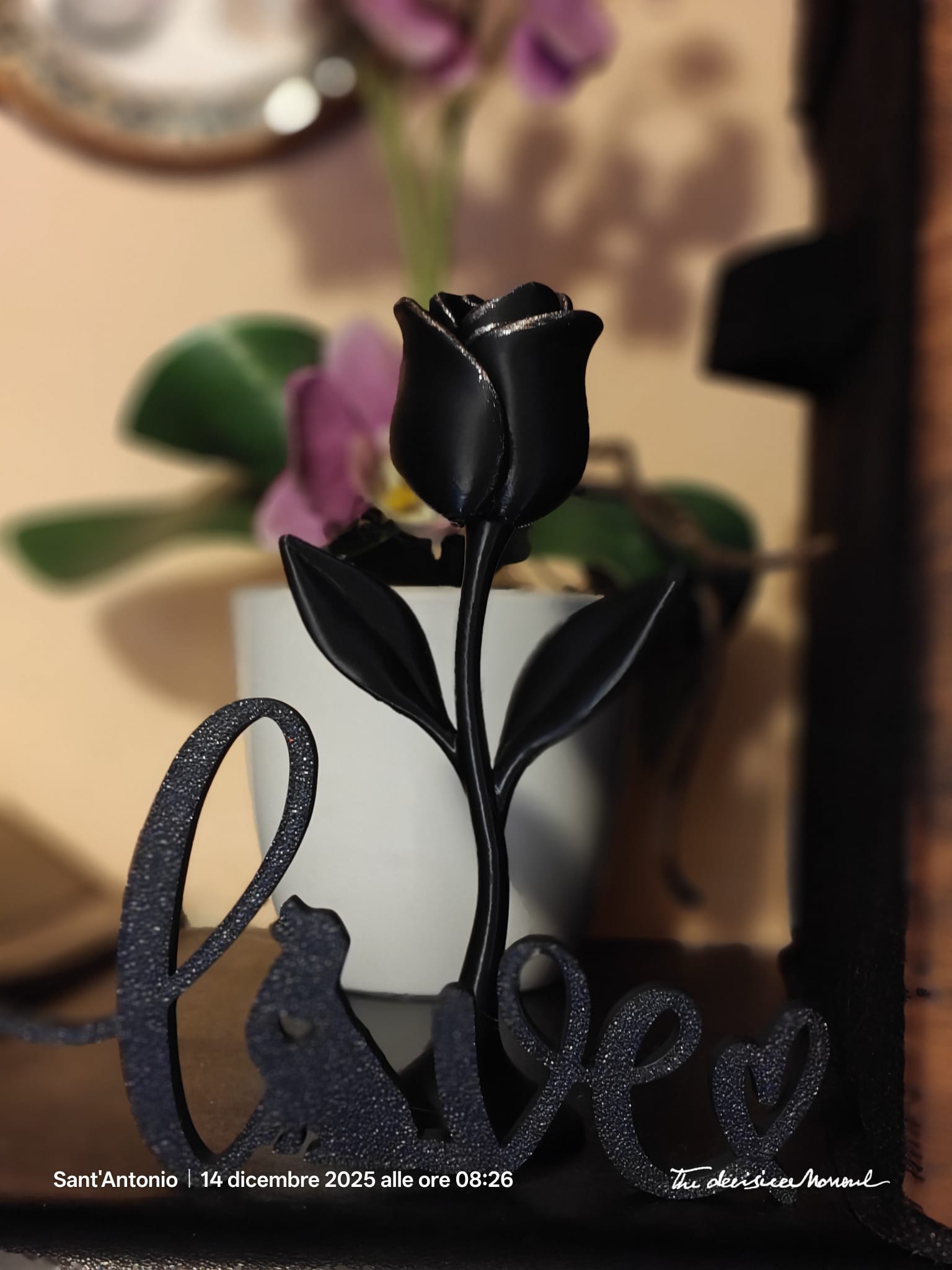 Rosa nera con scritta love