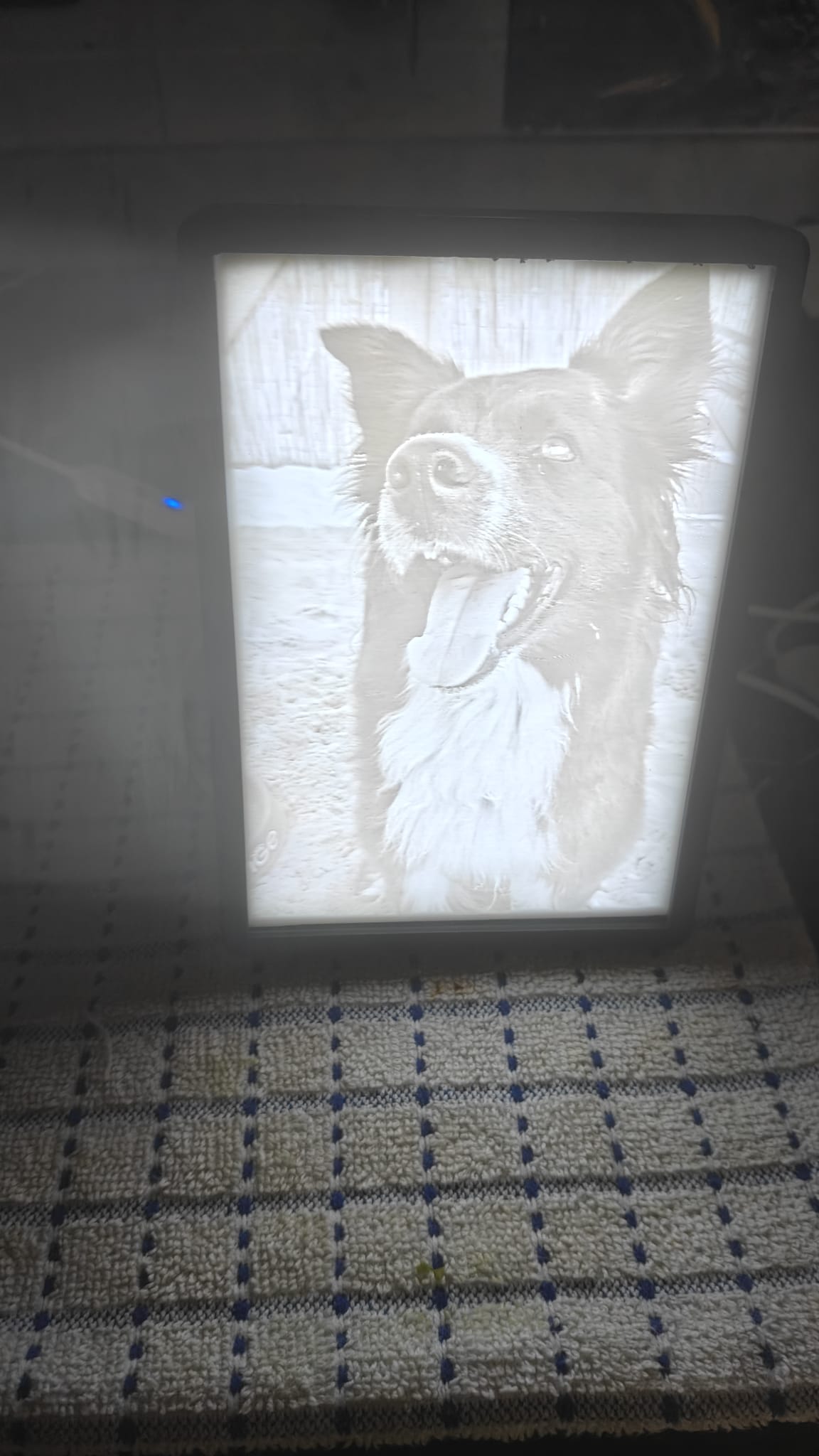 Litofania accesa con foto di un cane